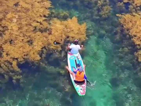 Tour Hòn Khô nửa ngày