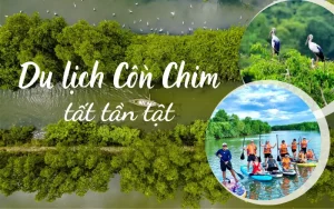 cồn chim quy nhơn