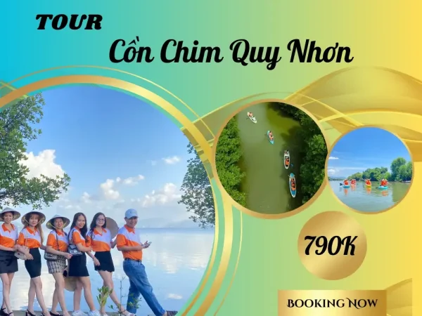 tour cồn chim quy nhơn