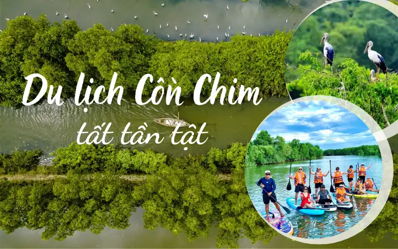 Tour Thăm Quan Cồn Chim Quy Nhơn