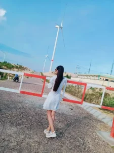 cánh đồng quạt gió quy nhơn