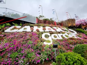 Canary garden Phú Yên