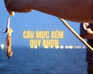 TOUR CÂU MỰC ĐÊM QUY NHƠN