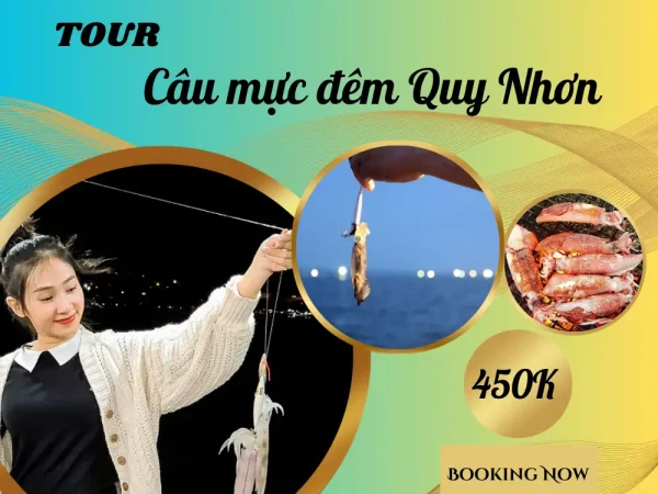 tour câu mực đêm quy nhơn